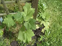 BILD7944.webp