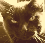 bernardo portraet02-1.webp
