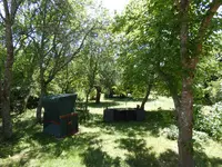 P1000260.webp