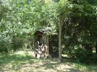 Brunnen.webp