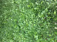 IMG_6007.webp