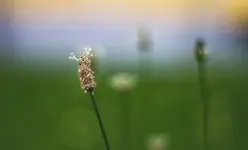_MG_8753.jpg