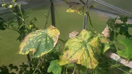 20170809_152439[1].webp