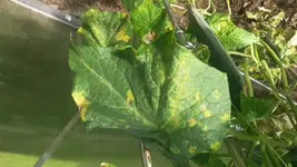 20170809_152343[1].webp