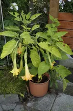 _DSC2104.webp