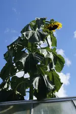_DSC2091.webp