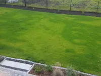 20170810_074654.webp