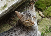 stöpsel juli16-01-1.webp