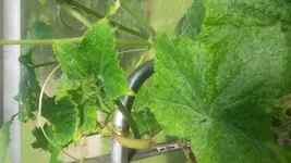 20170810_133715[1].webp