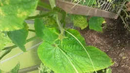 20170810_133731[1].jpg