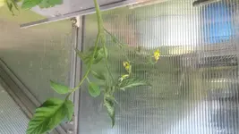 20170810_133746[1].webp