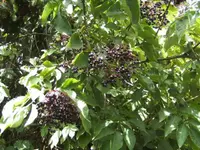 BILD7977.webp