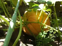 BILD7815.webp