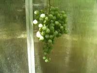 BILD7829.webp