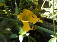 BILD7816.webp