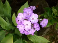 DSCI0602.webp