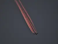 Fotos mit Rehen und Kakteen 027.webp