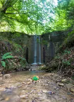 20170809-1 (16)-Pano.webp