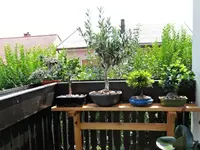 DSC01408.webp
