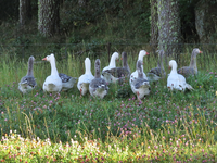 IMG_3525v (2).webp