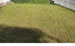 rasen2.webp