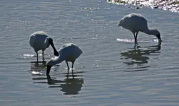 IMG_9691v (2).webp
