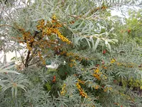 DSCN1733.jpg