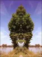 F032.webp