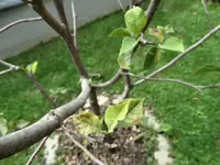 DSC01422.webp