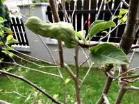 DSC01423.webp