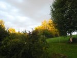 IMG_7943.JPG