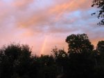 IMG_7944.JPG