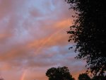 IMG_7945.JPG