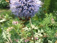 IMG_7936.webp