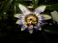 DSCN0844.webp