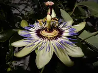 DSCN0845.webp