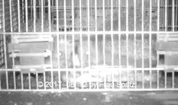 STC_0001.webp