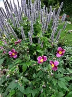DSC01431.webp