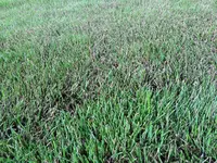 20170813_094944_resized.webp