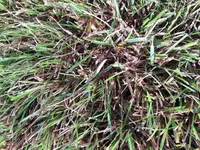20170813_094951_resized.webp