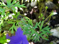 DSCN9464.webp