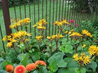 IMG_5706.webp