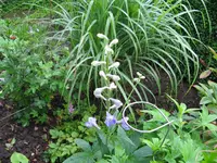 IMG_5707.webp