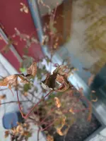 IMG_20170813_185837.webp