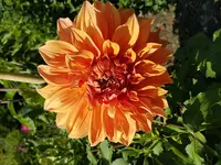 20170806_163428.jpg