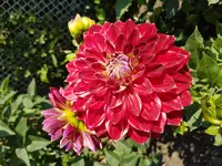 20170806_163034.jpg