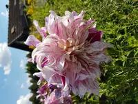 20170806_163110.jpg