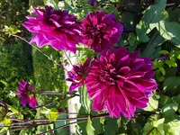 20170806_163123.webp
