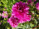 20170806_163134.jpg