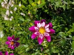 20170806_163202.jpg